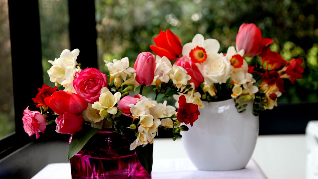 Wallpaper roses, freesia, flowers, daffodils, tulips, bouquets, vases