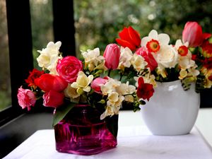 Preview wallpaper roses, freesia, flowers, daffodils, tulips, bouquets, vases