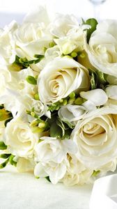 Preview wallpaper roses, freesia, flowers, flower, white, glasses, tape