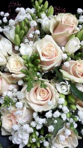 Preview wallpaper roses, freesia, gypsophila, bouquet, decoration