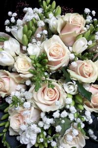 Preview wallpaper roses, freesia, gypsophila, bouquet, decoration