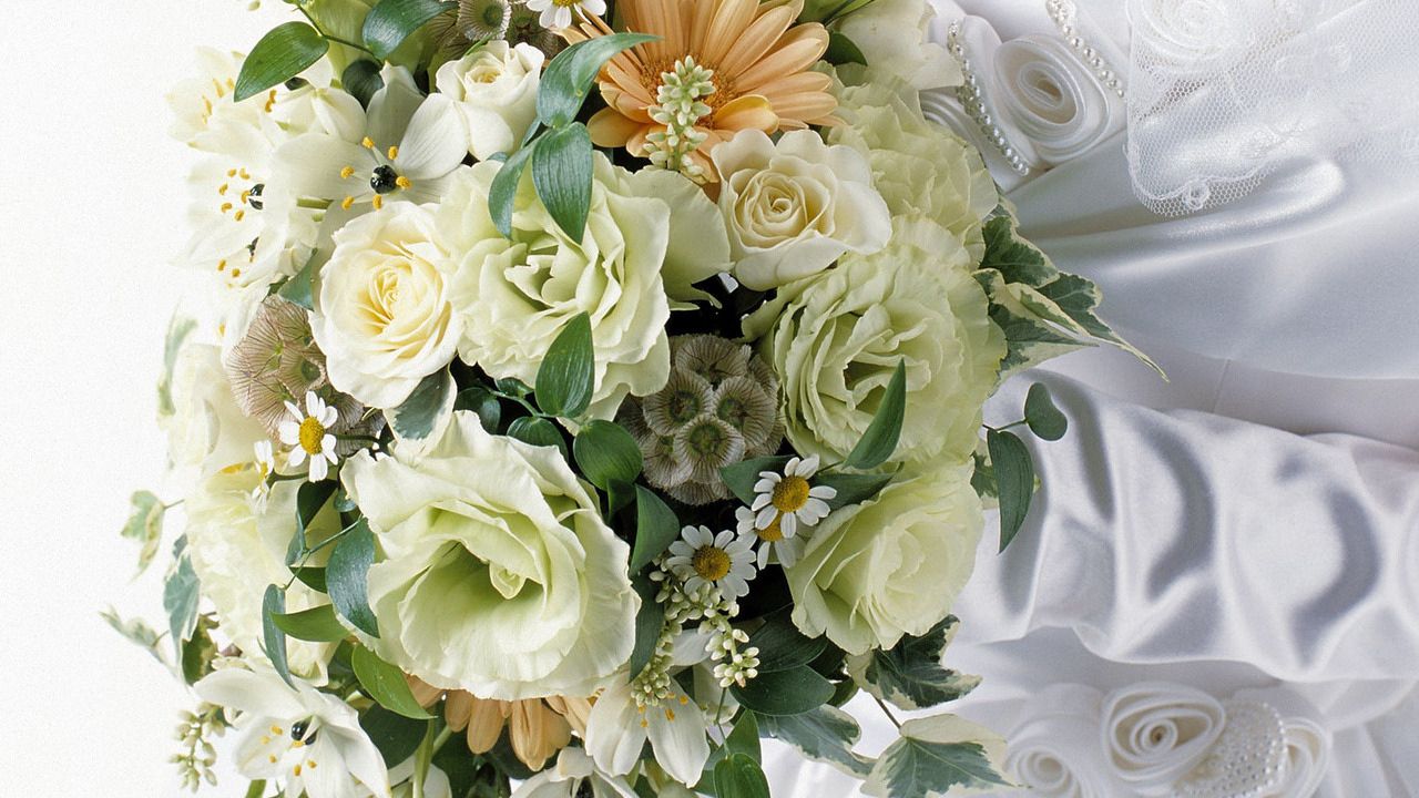 Wallpaper roses, gerbera, daisies, flowers, bouquet, bride