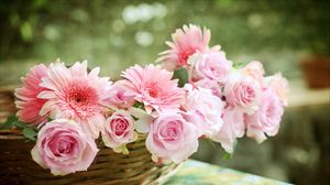 Preview wallpaper roses, gerbera, flower, basket