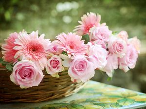 Preview wallpaper roses, gerbera, flower, basket