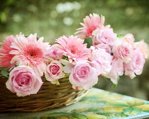 Preview wallpaper roses, gerbera, flower, basket