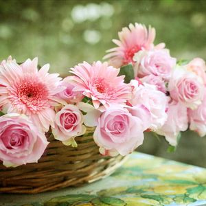 Preview wallpaper roses, gerbera, flower, basket