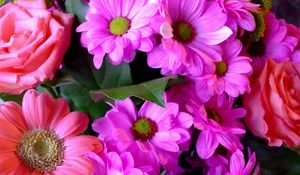 Preview wallpaper roses, gerbera, flowers, bouquet, close-up