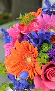 Preview wallpaper roses, gerbera, flowers, bouquet, colorful, combination