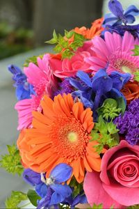 Preview wallpaper roses, gerbera, flowers, bouquet, colorful, combination