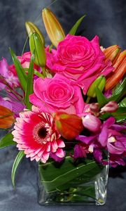 Preview wallpaper roses, gerberas, orchids, buds, flowers, composition
