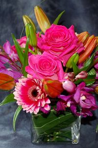 Preview wallpaper roses, gerberas, orchids, buds, flowers, composition