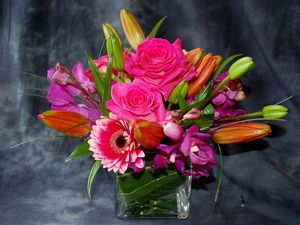 Preview wallpaper roses, gerberas, orchids, buds, flowers, composition