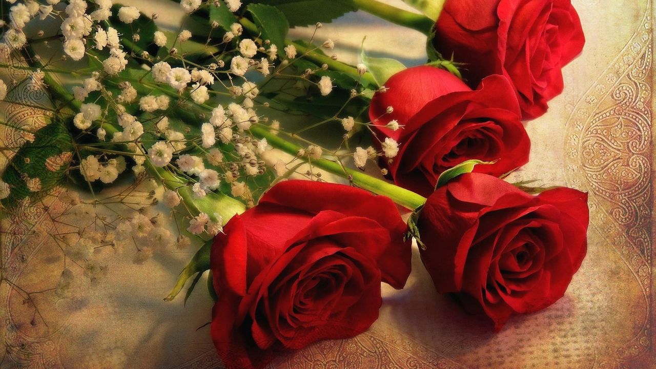 Wallpaper roses, gypsophila, bouquet, tablecloth