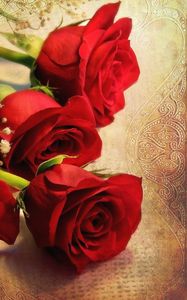 Preview wallpaper roses, gypsophila, bouquet, tablecloth