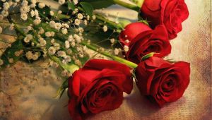 Preview wallpaper roses, gypsophila, bouquet, tablecloth