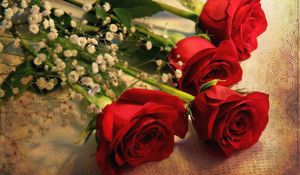 Preview wallpaper roses, gypsophila, bouquet, tablecloth