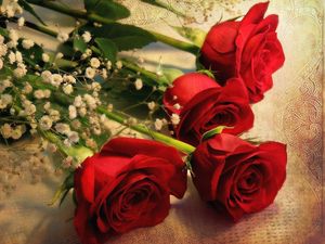 Preview wallpaper roses, gypsophila, bouquet, tablecloth