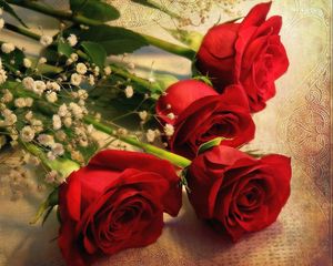 Preview wallpaper roses, gypsophila, bouquet, tablecloth