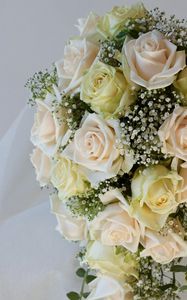 Preview wallpaper roses, gypsophila, bouquet, tenderness