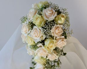 Preview wallpaper roses, gypsophila, bouquet, tenderness