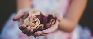 Preview wallpaper roses, herbarium, hands, flowers
