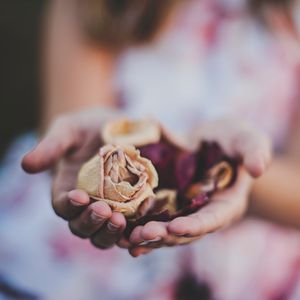 Preview wallpaper roses, herbarium, hands, flowers