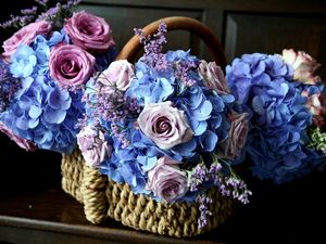 Preview wallpaper roses, hydrangea, flower, basket, beauty