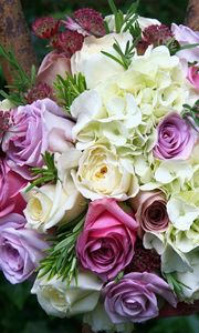 Preview wallpaper roses, hydrangeas, astrantsiya, flowers, bouquet, sharpness