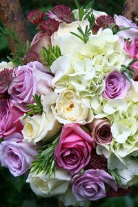 Preview wallpaper roses, hydrangeas, astrantsiya, flowers, bouquet, sharpness