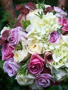 Preview wallpaper roses, hydrangeas, astrantsiya, flowers, bouquet, sharpness