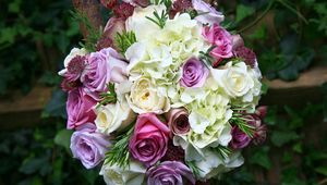 Preview wallpaper roses, hydrangeas, astrantsiya, flowers, bouquet, sharpness