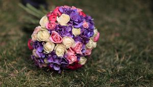 Preview wallpaper roses, hydrangeas, flower, grass, blurring