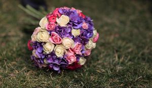 Preview wallpaper roses, hydrangeas, flower, grass, blurring