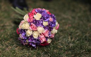 Preview wallpaper roses, hydrangeas, flower, grass, blurring