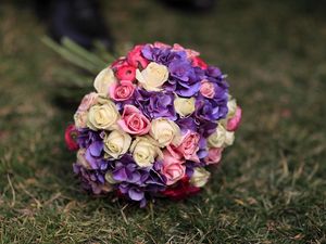 Preview wallpaper roses, hydrangeas, flower, grass, blurring