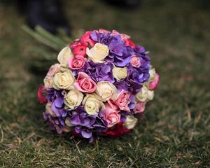 Preview wallpaper roses, hydrangeas, flower, grass, blurring