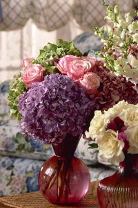 Preview wallpaper roses, hydrangeas, flowers, bouquets, vases, bathroom, interior