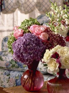 Preview wallpaper roses, hydrangeas, flowers, bouquets, vases, bathroom, interior