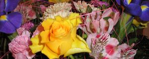 Preview wallpaper roses, irises, alstroemeria, flowers, bouquets, leaves, clearance, close-up