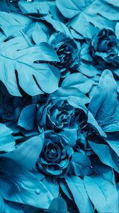 Preview wallpaper roses, leaves, paint, blue