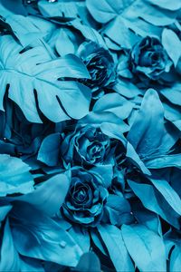 Preview wallpaper roses, leaves, paint, blue