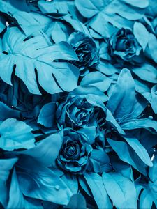 Preview wallpaper roses, leaves, paint, blue