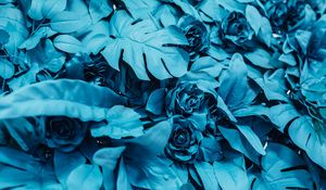 Preview wallpaper roses, leaves, paint, blue
