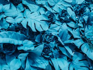 Preview wallpaper roses, leaves, paint, blue