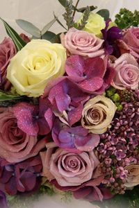 Preview wallpaper roses, lilacs, flowers, flower, song, drop, freshness, green