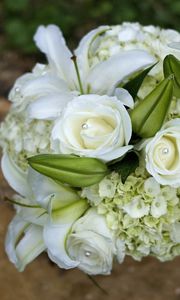 Preview wallpaper roses, lilies, hydrangeas, decoration, white, bouquet