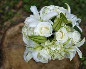 Preview wallpaper roses, lilies, hydrangeas, decoration, white, bouquet