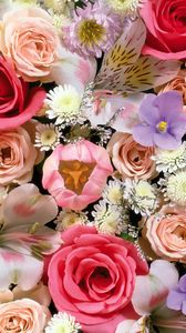 Preview wallpaper roses, lilies, tulips, flowers, assorted