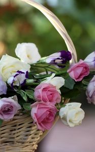 Preview wallpaper roses, lisianthus russell, flowers, basket, blurring