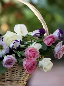 Preview wallpaper roses, lisianthus russell, flowers, basket, blurring